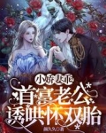 小娇妻乖!首富老公诱哄怀双胎