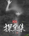 民国探案集