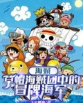 海贼:草帽海贼团中的冒牌海军