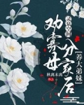 灵泉空间:劝寡母分家后养大弟妹