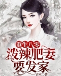 重生八零:泼辣肥妻要发家
