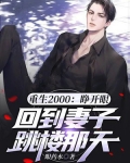 重生2000:睁开眼,回到妻子跳楼那天