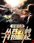 穿越亮剑:从苍云岭开始崛起