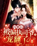 闪婚后,被偏执司爷宠翻了
