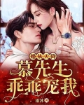婚从天降:慕先生乖乖宠我