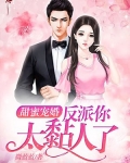 甜蜜宠婚:反派你太黏人了