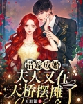 错嫁成婚:夫人又在天桥摆摊了