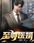 至尊医婿