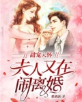 甜宠入怀,夫人又在闹离婚