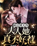 顾总别太作,夫人她真不好惹