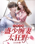 闪婚成瘾:盛少缠妻太狂野
