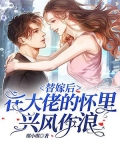 替嫁后,在大佬的怀里兴风作浪
