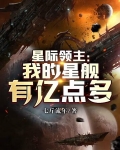 星际领主:我的星舰有亿点多