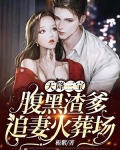 天降三宝:腹黑渣爹追妻火葬场