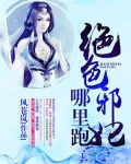 夜帝盛宠:绝色邪妃哪里跑