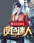 重回2001:夜色迷人