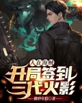 人在海贼,开局签到三代火影