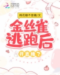 金丝雀逃跑后开直播了