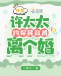 许总,许太太约你民政局离个婚