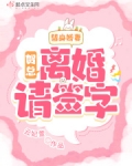 替身娇妻:贺总,离婚请签字