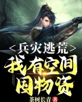 兵灾逃荒:我有空间囤物资!