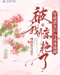 穿成恶女后,冷冰冰战神被我惊艳了