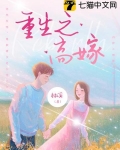 重生之高嫁