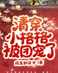 清穿小格格被团宠了