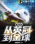 世界杯:从英冠到金球