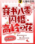 穿书八零闪婚高岭之花