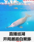 直播巡湖:开局邂逅白鱀豚