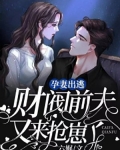 孕妻出逃,财阀前夫又来抢崽了!