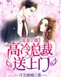 宠妻上瘾,高冷总裁送上门