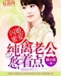 闪婚蜜爱:纯禽老公悠着点