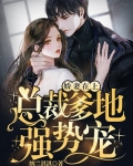 娇妻在上:总裁爹地强势宠!