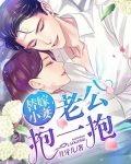 替嫁小妻:老公,抱一抱