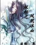 妖妃之凤凰沐血(完结)