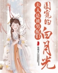 夫人是被男配们团宠的白月光