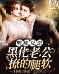 呜!被反派黑化老公撩的腿软