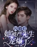 闪婚后,她被严先生宠爆了