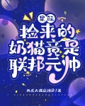 星际:捡来的奶猫竟是联邦元帅