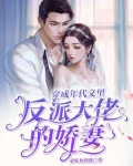 穿成年代文里反派大佬的娇妻