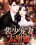 裴少宠妻太甜蜜