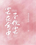 尘在兮中不化尘