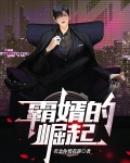 霸婿的崛起