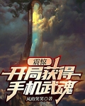 震惊,开局获得手机武魂
