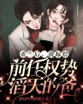 重生后,我嫁给前任权势滔天的爸