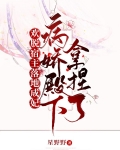 欢脱宿主落地成妃病娇殿下拿捏了