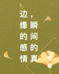 边缘的感情,瞬间的真
