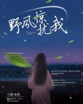 野风惊扰我